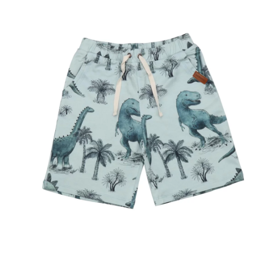 Shorts Dinosaurland Größe 146